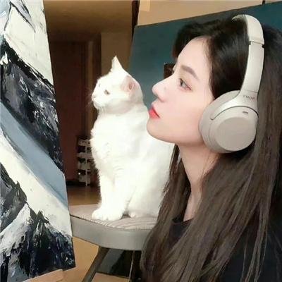 蜜月变奏曲